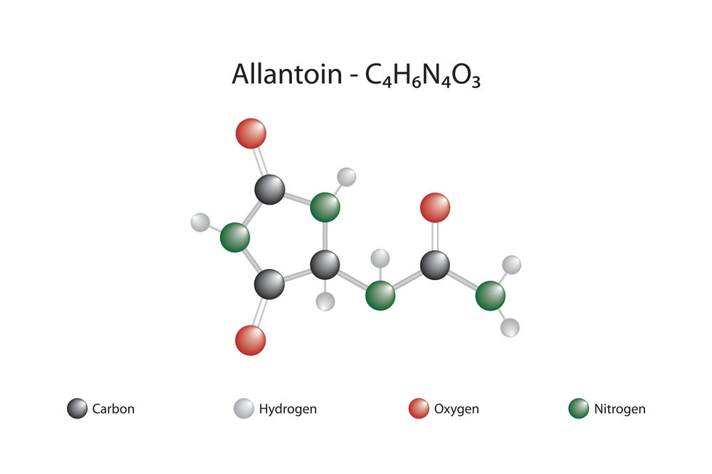 Allantoin thúc đẩy tăng sinh tế bào và hỗ trợ quá trình “tu sửa” tổng thể